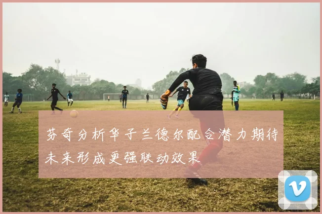 芬奇分析华子兰德尔配合潜力期待未来形成更强联动效果